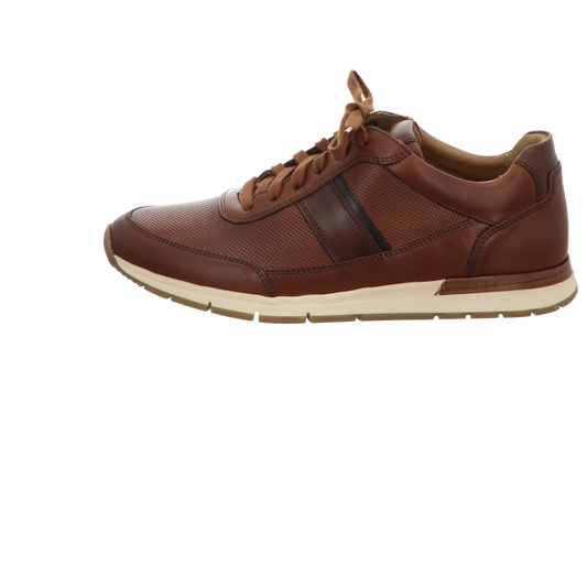 Pius Gabor Herren Schnürschuh in braun