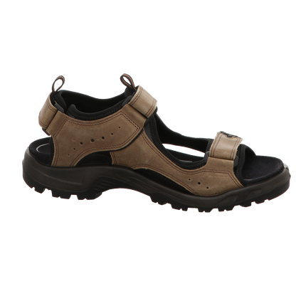 Ecco Herren Sandalette Rec.offroad in braun