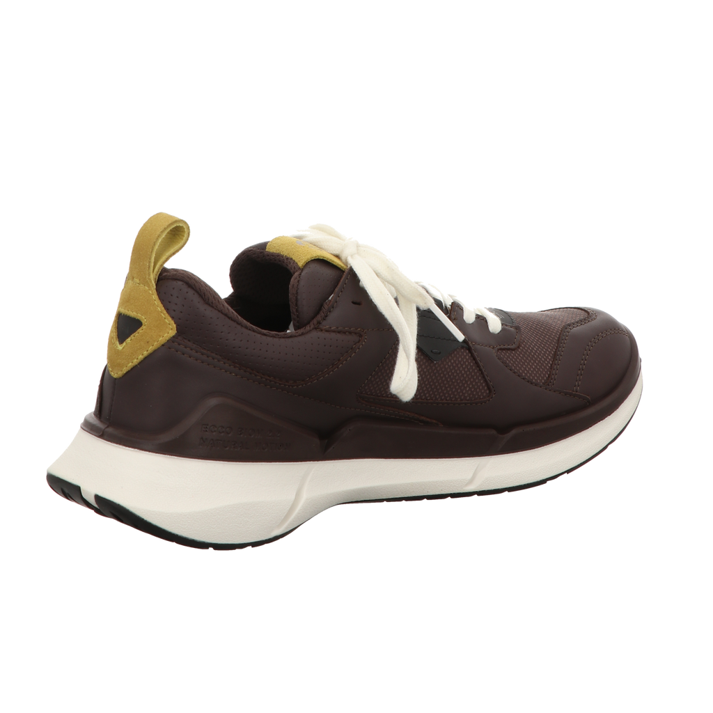 Ecco Herren Schnürschuh Biom 2.2 in braun