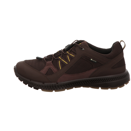 Ecco Herren Schnürschuh Rec.terracruise Ii in braun