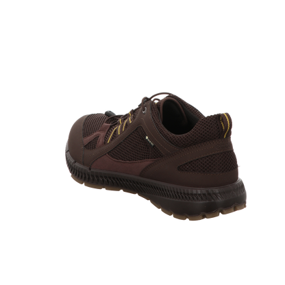Ecco Herren Schnürschuh Rec.terracruise Ii in braun