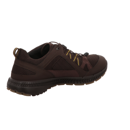 Ecco Herren Schnürschuh Rec.terracruise Ii in braun