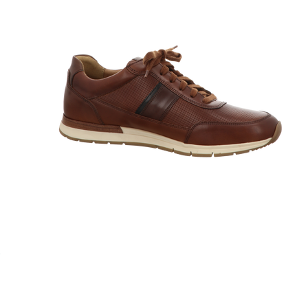 Pius Gabor Herren Schnürschuh  in braun